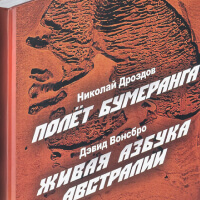 Николай Дроздов «Полет бумеранга»